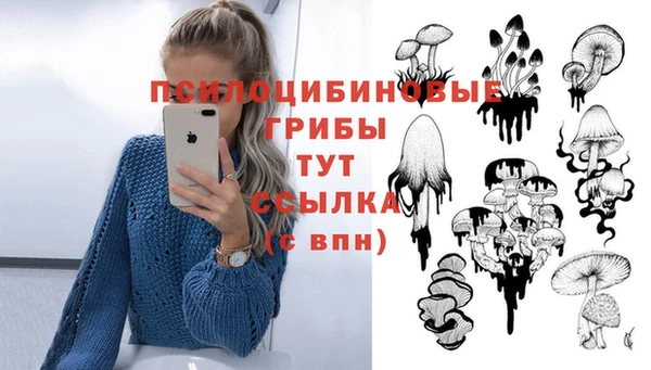 спайс Алексеевка