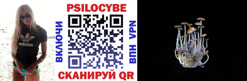 Псилоцибиновые грибы мухоморы  сколько стоит  Циолковский 